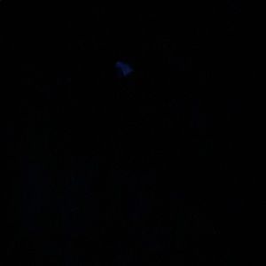 Meet your Posher, Marci